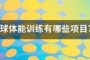关于篮球的体能训练有哪些？